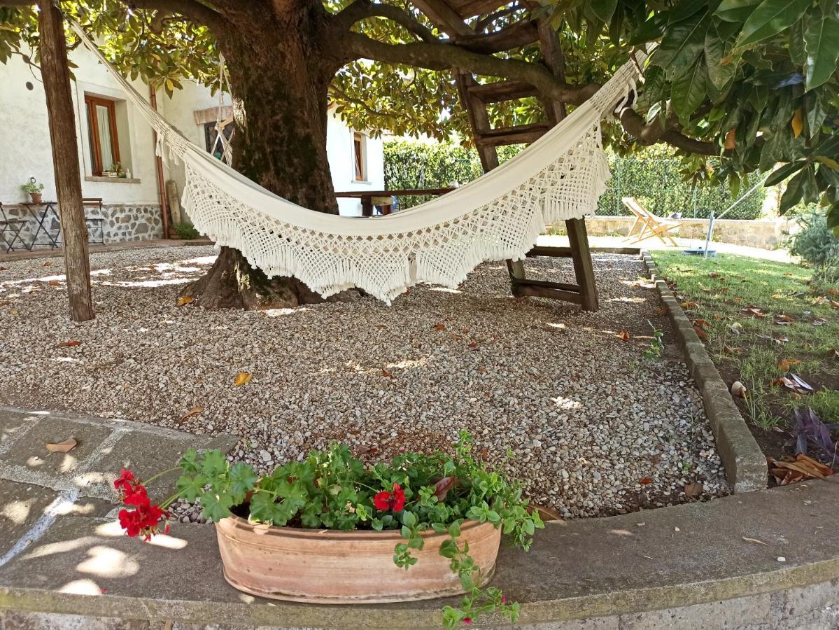 B&B Sole Mio Velletri Εξωτερικό φωτογραφία
