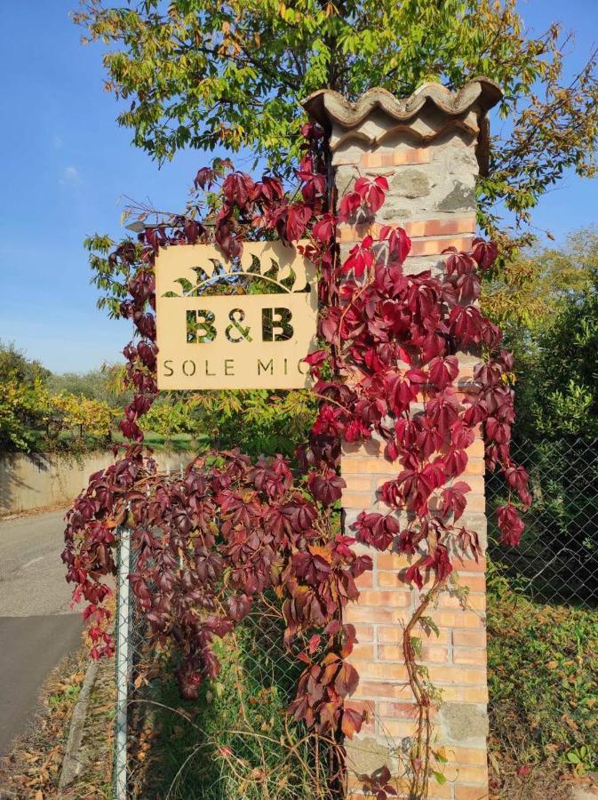 B&B Sole Mio Velletri Εξωτερικό φωτογραφία